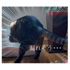 [LINEスタンプ] じじ日和