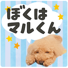 [LINEスタンプ] ぼくはマルくん