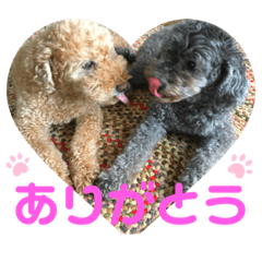 [LINEスタンプ] うちの子大優勝〈改〉