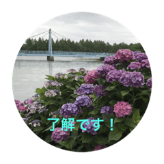 [LINEスタンプ] kinko＿写真6