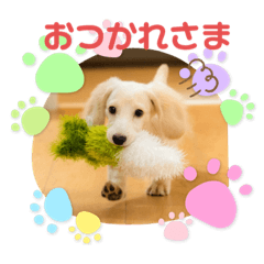 [LINEスタンプ] りむ①