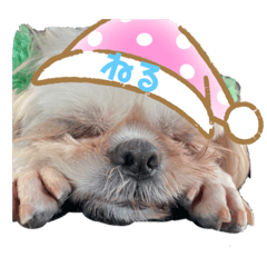 [LINEスタンプ] のんきな気持ち