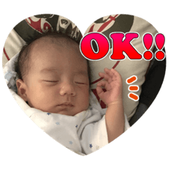 [LINEスタンプ] 主に家族で使用する用の息子スタンプ
