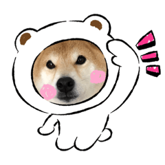 [LINEスタンプ] 柴犬 ダイキチくん