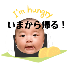 [LINEスタンプ] 舜ちゃんスタンプ①