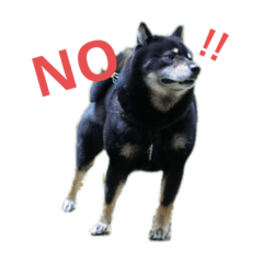[LINEスタンプ] タロだよ