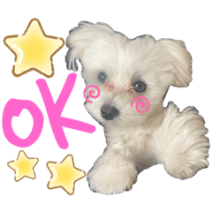 [LINEスタンプ] 愛犬ジルちゃん！②