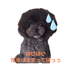 [LINEスタンプ] 汗かきワンコ組