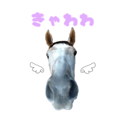 [LINEスタンプ] きゃわわ♡なリフレイムのすたんぷ【公認】