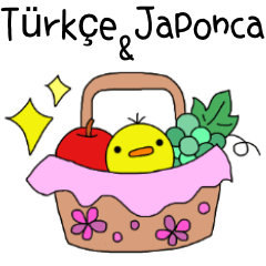 [LINEスタンプ] 毎日使えるトルコ語＆日本語スタンプ