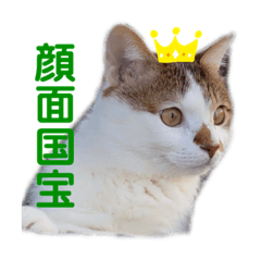 [LINEスタンプ] 僕はまるくんです。