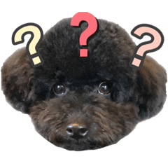 [LINEスタンプ] 黒プーのもずく