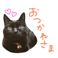 [LINEスタンプ] くっきーとさすけ