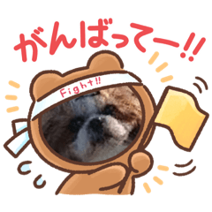 [LINEスタンプ] ガチャ子のWanWan シリーズ2