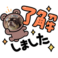 [LINEスタンプ] 犬三昧ver3