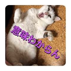 [LINEスタンプ] ゲンの1日