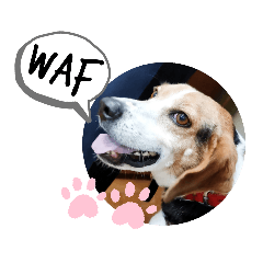 [LINEスタンプ] うしおのよく使いそうなスタンプ