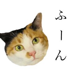 [LINEスタンプ] 我が家のびびちゃん②