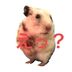 [LINEスタンプ] ハムスターのチューチュー