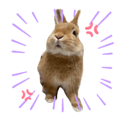 [LINEスタンプ] usausagi1211
