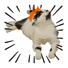[LINEスタンプ] スコティッシュ今日も行く4