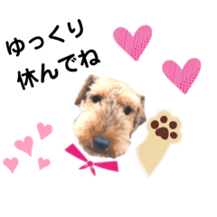 [LINEスタンプ] ウェルシュテリア ♡ジェリーさんの1日⑨