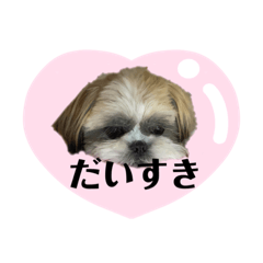 [LINEスタンプ] おひめの忙しい日常
