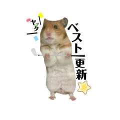 [LINEスタンプ] みんなのハムゴルフ