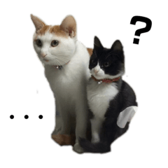 [LINEスタンプ] イッヌとネッコたち