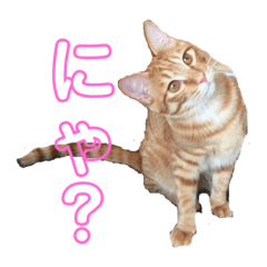 [LINEスタンプ] らとびじ4