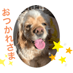[LINEスタンプ] コッカ花