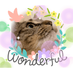 [LINEスタンプ] モアナandエマ♡仲良しごきげんスタンプ2