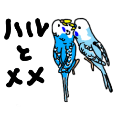 [LINEスタンプ] インコのハルとメメ32個