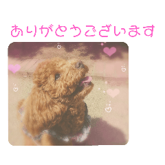 [LINEスタンプ] ティナのスタンプ19