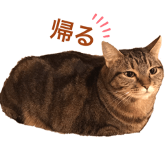 [LINEスタンプ] keecoco