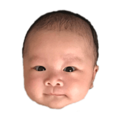 [LINEスタンプ] ぼく碧大