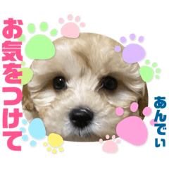 [LINEスタンプ] 爆食わんこ
