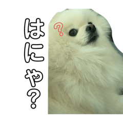 [LINEスタンプ] 【パール専用】日常会話