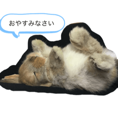 [LINEスタンプ] ぽぽちゃんうさぎ♡