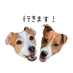 [LINEスタンプ] らぴたん＆みるたん03