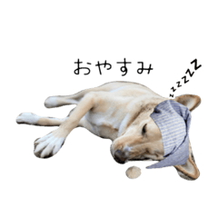 [LINEスタンプ] GOOONNN02