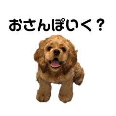 [LINEスタンプ] レディのきもち①