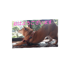 [LINEスタンプ] abbbbbbbbee23