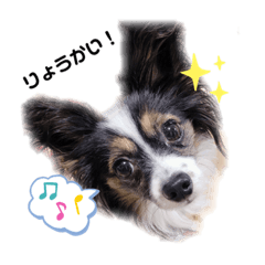 [LINEスタンプ] パピパピパピヨン！