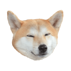 [LINEスタンプ] イヌおにぎり