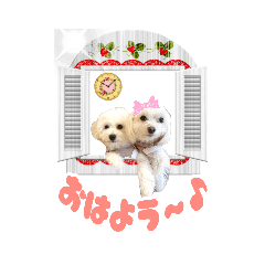 [LINEスタンプ] ココちゃんとナッツくんの日常スタンプ