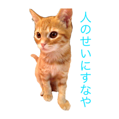 [LINEスタンプ] 徒然エンゼル
