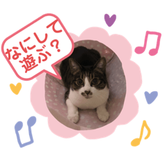 [LINEスタンプ] みゅうつーの普段遣いスタンプ第2弾！