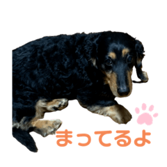 [LINEスタンプ] 宇宙のそらのスタンプ
