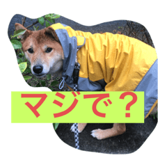 [LINEスタンプ] りょうつの使えるスタンプ2